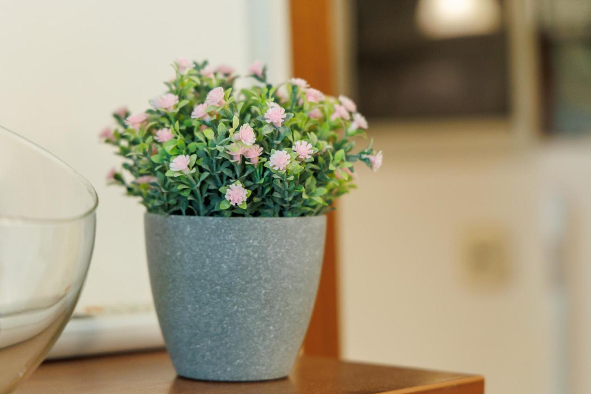Apartment Cozy Nika Split
